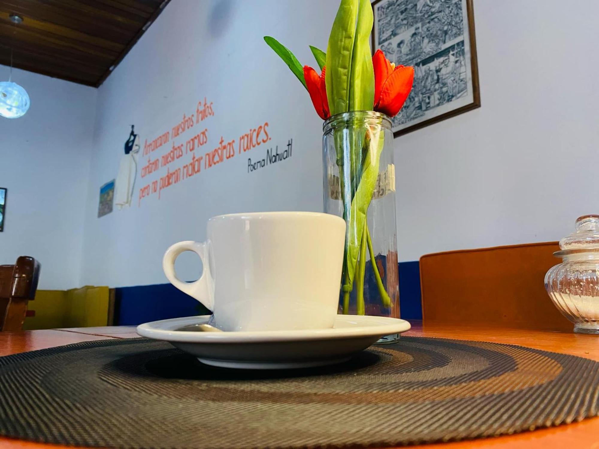 Hotel Gu San Cristobal de las Casas Ngoại thất bức ảnh